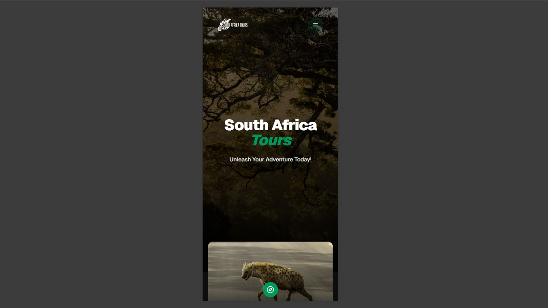 South Africa Tours Screenshot 3